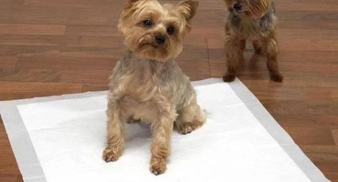 Как бързо да свикнете с памперса у дома